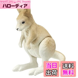 ���i�摜