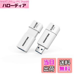 �y���������zUSBdrive Z40&Z60 1PK,5PK section1 �F�F����A�T�C�Y�F512GB 2�Z�b�g