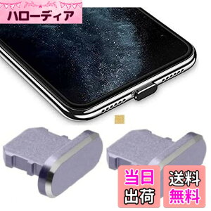 �y���������zWave Design�y ���� ���� �A���~�j�E�� �� �ی�L���b�v For iPhone �h�o �݊��� �z For iPad �h�o �ی� �J�o�[ �݊��� ���C�g�j���O�[�d�� �h�o �R�l�N�^ �_�X�g�v���O 2�� F.Wave �}�C�N