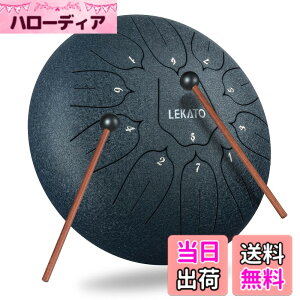 �y���������z�X���b�g�h���� �X�`�[���^���O�h���� LEKATO �����h���� 11�� 6�C���` �Ŋy�� �}���b�g ���[�o�b�O�t�� �ґz ���K �T �F�F�l�C�r�[�u���[ 10�C���`