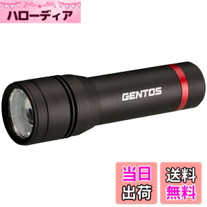 �y���������zGENTOS(�W�F���g�X) �����d�� LED���C�g �P2/�P3/�P4 �d�r�� ���� 480~600���[���� ���N�V�[�h RX-323D/RX-332D/RX-344D/RX-022DS �n���f�B���C�g �t���b�V�����C�g �F�F�u���b�N�A�T�C�Y�F���a3