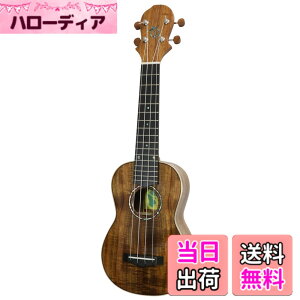 �y���������zBIG ISLAND KM Modernish Series �\�v���m�E�N���� KM-SPG �F�F�n���C�A���R�A�A�T�C�Y�F�\�v���m