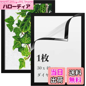 �y���������zLEADINTOP �_�C�������h�A�[�g �t�H�g�t���[�� 2�� �}�O�l�b�g�t�� 30 x 40 cm �_�C�������h�G��p �ǂ������Ȃ� ���ȔS���� �Ǌ|�� �f�B�X�v���C�t���[�� �ʐ^�t���[�� �\���� �|