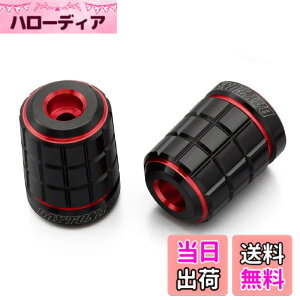 �y���������z�f�C�g�i(Daytona) PREMIUM ZONE(�v���~�A���]�[��) �o�C�N�p �o�[�G���h TECHNO/BRICK/KIRIKO/�X�N���b�` �F�F���b�h�A�T�C�Y�F���}�n(M6)