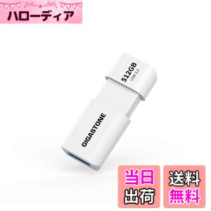 �y���������zUSBdrive Z60 series section2 �F�F����A�T�C�Y�F512GB 1�Z�b�g