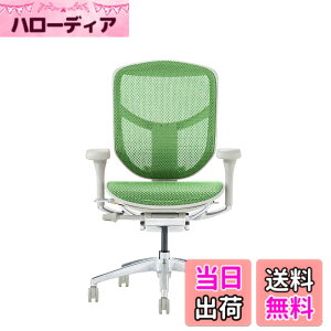 �y���������z�G���S�q���[�}��2(ergohuman2) �I�t�B�X�`�F�A ENJOY �G���W���C �F�F���b�V��:�O���[�� / �t���[��:�O���[�A�T�C�Y�F���[�^�C�v