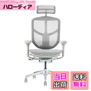 �y���������z�G���S�q���[�}��2(ergohuman2) �I�t�B�X�`�F�A ENJOY �G���W���C �F�F���b�V��:�O���[ / �t���[��:�O���[�A�T�C�Y�F�n�C�^�C�v