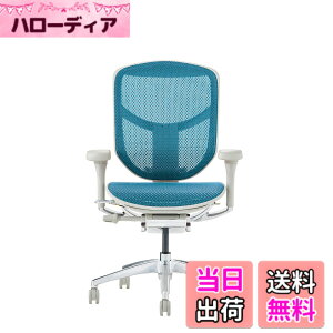 �y���������z�G���S�q���[�}��2(ergohuman2) �I�t�B�X�`�F�A ENJOY �G���W���C �F�F���b�V��:�O���[ / �t���[��:�O���[�A�T�C�Y�F���[�^�C�v