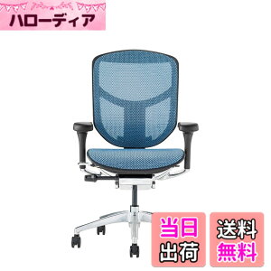 �y���������z�G���S�q���[�}��2(ergohuman2) �I�t�B�X�`�F�A ENJOY �G���W���C �F�F���b�V��:�u���[ / �t���[��:�u���b�N�A�T�C�Y�F���[�^�C�v