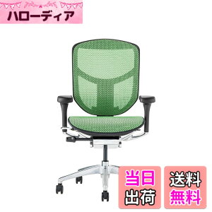 �y���������z�G���S�q���[�}��2(ergohuman2) �I�t�B�X�`�F�A ENJOY �G���W���C �F�F���b�V��:�O���[�� / �t���[��:�u���b�N�A�T�C�Y�F���[�^�C�v