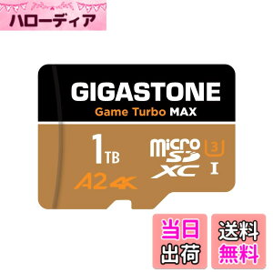 �y���������zGIGASTONE �}�C�N��sd�J�[�h Blackgold 2026 Group 1 �F�F1TB Game Turbo MAX 1-Pack