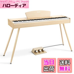 �y���������zDonner �d�q�s�A�m 88���� DDP-80 �F�F�I�[�N�x�[�W���A�T�C�Y�FDDP-80