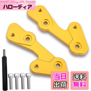 �y���������zLEDISHUN �o�b�N�X�e�b�v �A�W���X�^�[ 30mm �A�b�v 25mm �o�b�N �J���T�L ZX-25R(2020-2023) ZX-4R ZX-4RR (2023+)�ɓK�p �F�F�S�[���h