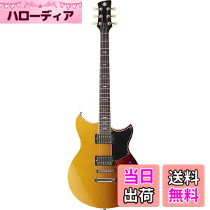�y���������z���}�n YAMAHA �G���L�M�^�[ REVSTAR �X�^���_�[�h�V���[�Y �F�F�T���Z�b�g�o�[�X�g(SSB)