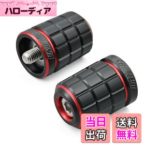 �y���������z�f�C�g�i(Daytona) PREMIUM ZONE(�v���~�A���]�[��) �o�C�N�p �o�[�G���h TECHNO/BRICK/KIRIKO/�X�N���b�` �F�F���b�h�A�T�C�Y�F�J���T�L(M8)