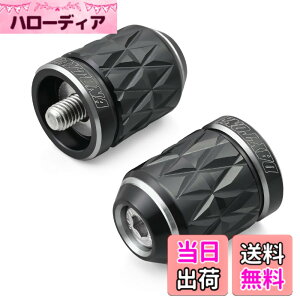 �y���������z�f�C�g�i(Daytona) PREMIUM ZONE(�v���~�A���]�[��) �o�C�N�p �o�[�G���h TECHNO/BRICK/KIRIKO/�X�N���b�` �F�F�A�b�V���V���o�[�A�T�C�Y�F�J���T�L(M8)