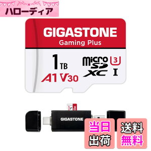 �y���������zGIGASTONE �}�C�N��sd�J�[�h 1TB-2-1 Core Group �F�F1TB Gaming Plus 1��+Type C�J�[�h���[�_�[�A�T�C�Y�F1TB