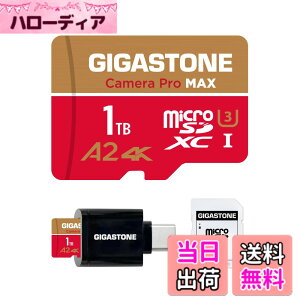 �y���������zGIGASTONE �}�C�N��sd�J�[�hGoldRed GP 1 �F�F1TB Camera Pro MAX 1��+Type C�J�[�h���[�_�[�A�T�C�Y�F1TB Camera Pro MAX 1��+Type C�J�[�h���[�_�[