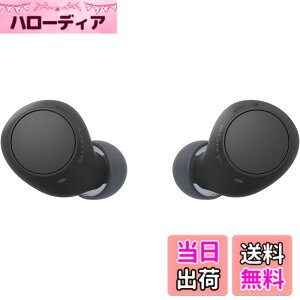 �y���������z�\�j�[(SONY) ���S���C�����X�C���z�� WF-C500/WF-C510 :/�����x�ʘb�i��/IPX4�h�H���\ �F�F�u���b�N�A�T�C�Y�F���^�y��