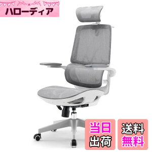�y���������zSIHOO M102C �I�t�B�X�`�F�A �Ɨ��������o�[�T�|�[�g �֎q �f�X�N�`�F�A 3D���ˏグ���A�[�����X�g �f�X�N�`�F�A �l�ԍH�w �`�F�A �e�����[�N ���Ȃ� M102C (�O���[) �F�F�O���[�A