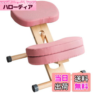�y���������z�v���|�[�V�����`�F�A �W���͂����܂�֎q �p���T�|�[�g �⏕�N�b�V�����t �F�F�s���N�A�T�C�Y�FCH-N889CK