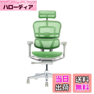 �y���������z�G���S�q���[�}��2(Ergohuman2) �I�t�B�X�`�F�A �F�F�t���[��:GRAY / ���b�V��:GREEN�A�T�C�Y�F�n�C�^�C�v