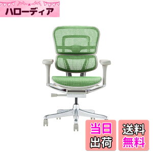 �y���������z�G���S�q���[�}��2(Ergohuman2) �I�t�B�X�`�F�A �F�F�t���[��:GRAY / ���b�V��:GREEN�A�T�C�Y�F���[�^�C�v