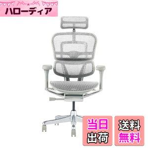 �y���������z�G���S�q���[�}��2(Ergohuman2) �I�t�B�X�`�F�A �F�F�t���[��:GRAY / ���b�V��:WHITE�A�T�C�Y�F�n�C�^�C�v