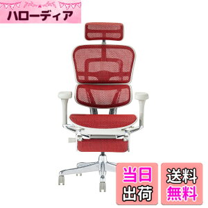 �y���������z�G���S�q���[�}��2(Ergohuman2) �I�t�B�X�`�F�A �F�F�t���[��:GRAY / ���b�V��:RED�A�T�C�Y�F�n�C�^�C�v�E�I�b�g�}������