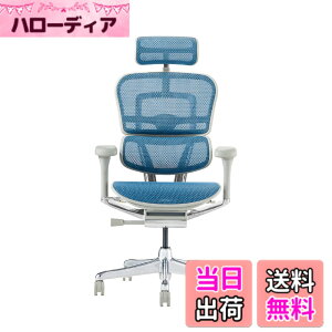 �y���������z�G���S�q���[�}��2(Ergohuman2) �I�t�B�X�`�F�A �F�F�t���[��:GRAY / ���b�V��:BLUE�A�T�C�Y�F�n�C�^�C�v