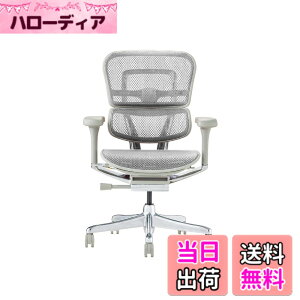 �y���������z�G���S�q���[�}��2(Ergohuman2) �I�t�B�X�`�F�A �F�F�t���[��:GRAY / ���b�V��:WHITE�A�T�C�Y�F���[�^�C�v