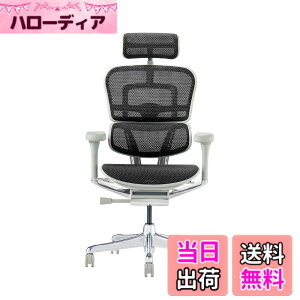 �y���������z�G���S�q���[�}��2(Ergohuman2) �I�t�B�X�`�F�A �F�F�t���[��:GRAY / ���b�V��:BLACK�A�T�C�Y�F�n�C�^�C�v