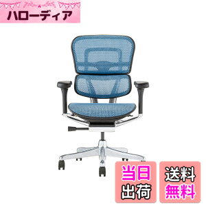 �y���������z�G���S�q���[�}��2(Ergohuman2) �I�t�B�X�`�F�A �F�F�t���[��:BLACK / ���b�V��:BLUE�A�T�C�Y�F���[�^�C�v