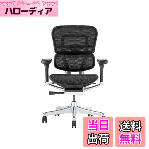 �y���������z�G���S�q���[�}��2(Ergohuman2) �I�t�B�X�`�F�A �F�F�t���[��:BLACK / ���b�V��:BLACK�A�T�C�Y�F���[�^�C�v