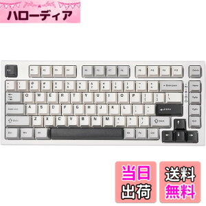�y���������zYUNZII YZ75 75% �z�b�g�X���b�v�Ή����C�����X�Q�[�~���O�L�[�{�[�h RGB�o�b�N���C�g BT5.0/2.4G/USB-C�ADye Sub PBT�L�[�L���b�v Linux/Win/Mac�p �Z�K�F�؎擾 �F�F�z���C�g�A�T�C�Y�F�K�e��