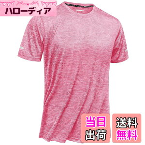�y���������z[TACVASEN] �X�|�[�ct�V���c �����Y �z������ �⊴ �����j���O �e�j�X �g���[�j���O�E�F�A �X�g���b�` �h���Ct�V���c �_�O���X ���˃e�[�v �ێ� ���� �ĕ� �F�F�s���N�A�T�C�Y�FL