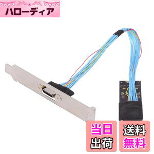 �y���������zCABLECC PCI-E 3.0 M.2 MKEY TO OCULINK SFF-8612 SFF-8611 PCIE NVME SSD 2260�����U.2 SFF-8639�P�[�u���p�̃z�X�g�A�_�v�^�[ �F�FBlue 2280 with Bracket�A�T�C�Y�F30cm