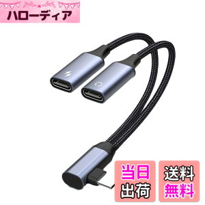 �y���������zAkkerds Type-C�C���z���W���b�N�ϊ��A�_�v�^�i2 in 1�j USB-C�P�[�u�� DAC�f�R�[�_�g�уp�\�R������ ���������[�dUSB-C�A�_�v�^ �[�d�ƒ��̂𓯎��ɍs��