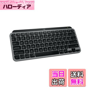 �y���������z���W�N�[�� KX700 ���C�����X�L�[�{�[�h �F�Ffor Mac �X�y�[�X�O���[(US�z��) (2�N)