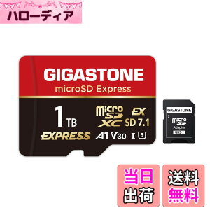 �y���������zGIGASTONE �}�C�N��sd�J�[�h 1TB-14-1 Core Group �T�C�Y�F1TB microSD Express 1���Z�b�g