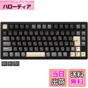 �y���������z�yWOBKEY Rainy 75�L�[�{�[�h�z�J���̂悤�ȑŌ��� ���J�j�J���L�[�{�[�h 3WAY�ڑ� OS�݊��� �z�b�g�X���b�v��VIA�̑Ή� �J�X�^�}�C�Y�� �K�X�P�b�g�f�U�C�� �A���~�j�E���f�ގg�p RG