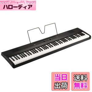 �y���������zKORG(�R���O) �d�q�s�A�m Liano 88���� �F�F�u���b�N