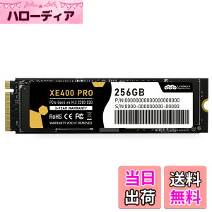 �y���������zLinkMore Gen4 PCIe 4.0 NVMe SSD �F�FPCIe4.0-XE400 PRO�A�T�C�Y�F256GB