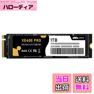 �y���������zLinkMore Gen4 PCIe 4.0 NVMe SSD �F�FPCIe4.0-XE400 PRO�A�T�C�Y�F1TB