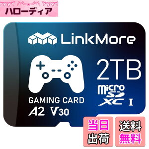 �y���������zLinkMore A1V30 / A2V30 / XV23 Pro MicroSDXC�J�[�h �T�C�Y�F2TB
