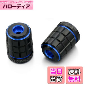 �y���������z�f�C�g�i(Daytona) PREMIUM ZONE(�v���~�A���]�[��) �o�C�N�p �o�[�G���h TECHNO/BRICK/KIRIKO/�X�N���b�` �F�F�u���[�A�T�C�Y�F�J���T�L(M6)