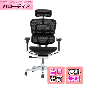 �y���������z�G���S�q���[�}��2(Ergohuman2) �I�t�B�X�`�F�A �F�F�t���[��:BLACK / ���b�V��:BLACK�A�T�C�Y�F�n�C�^�C�v