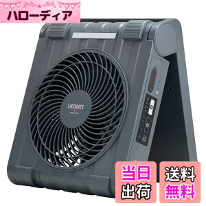 �y���������z�A�s�b�N�X(APIX INTL) ENEMATE ��@ �F�F�R�X���O���[