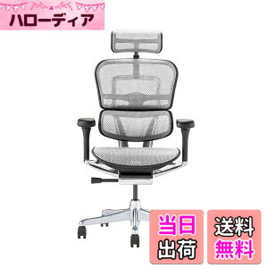 �y���������z�G���S�q���[�}��2(Ergohuman2) �I�t�B�X�`�F�A �F�F�t���[��:BLACK / ���b�V��:WHITE�A�T�C�Y�F�n�C�^�C�v