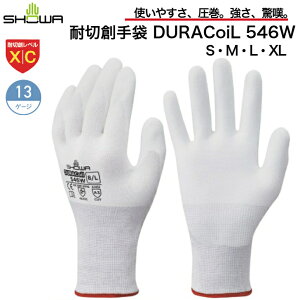 ϐؑn V[O[u DURAcoiL 546W ϐؑnx X /C  10o1g Ǝ